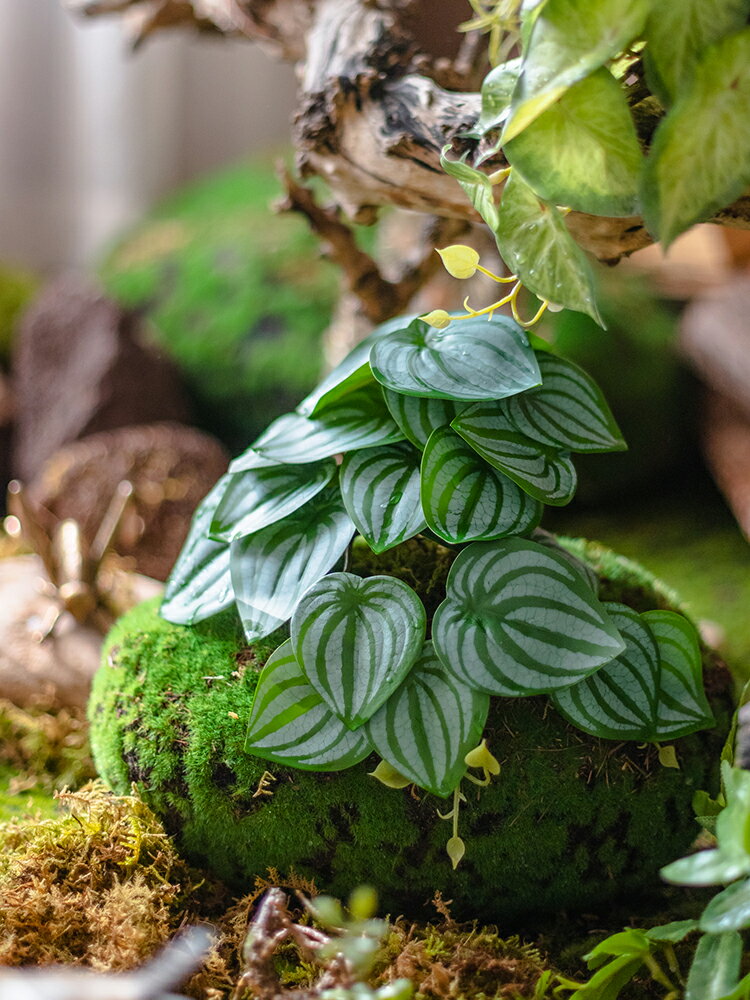 掬涵模擬西瓜葉藤條壁掛插花配材背景墻面葉子植物角景觀森系裝飾