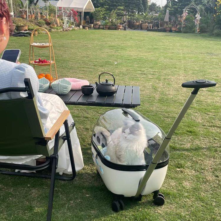 寵物拉桿箱貓包外出便攜兩只透明狗包行李箱小推車貓咪揹包透氣