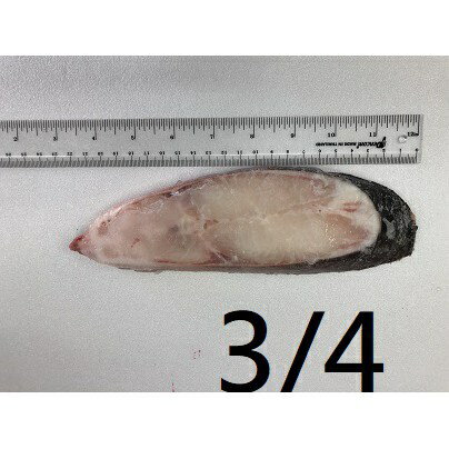冷凍紅甘魚切片 無洞 約6000g (3/4)(4/5)(5/6)