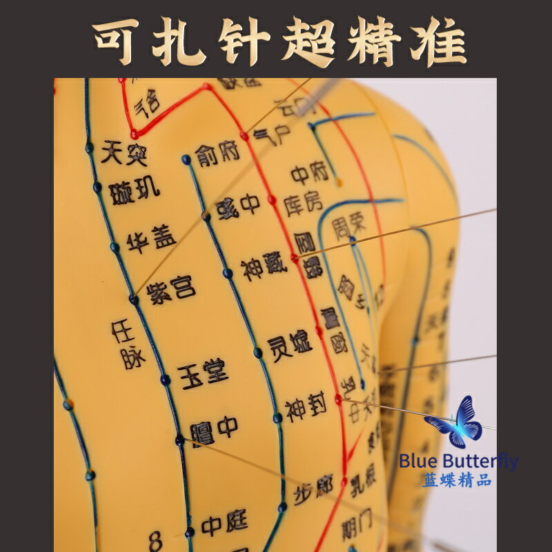 {可打統編 保固一年}針灸人體模型醫用扎針練習小皮人十二經絡穴位圖模特軟膠扎針練習 3