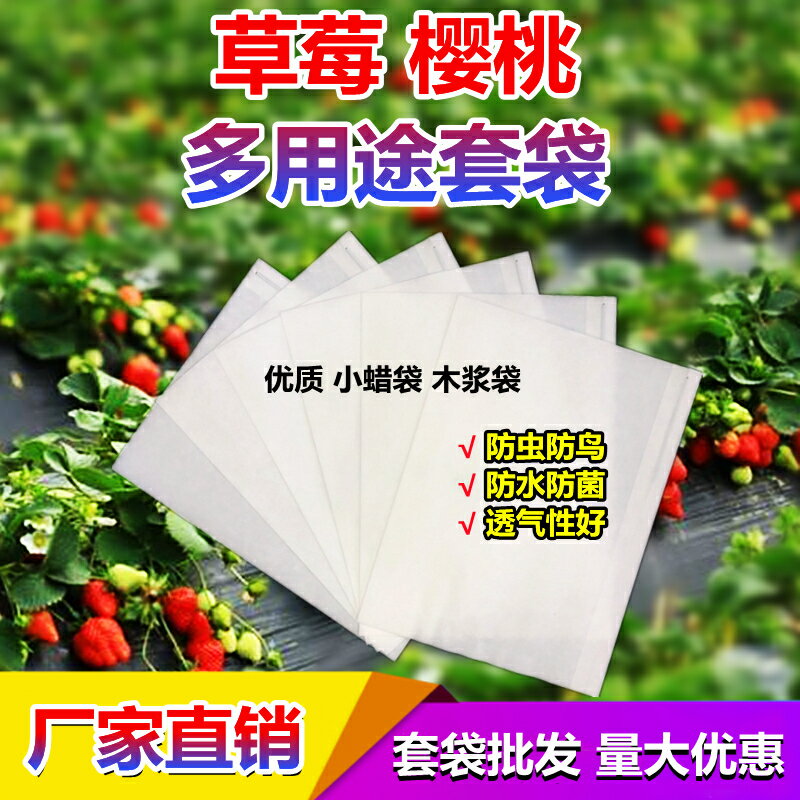 防蟲袋 水果套袋 草莓袋櫻桃專用套袋車釐子無花果套袋防蟲防鳥防水防雨防菌袋子【MJ23553】