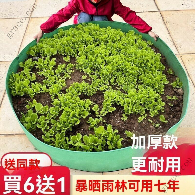 種植袋特大號無紡佈樓頂陽臺種菜袋神器超特大美植袋帆佈毛氈袋