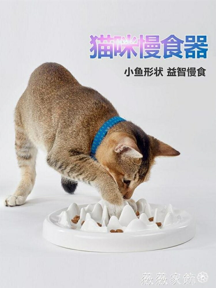 寵物餐具 貓咪專用陶瓷慢食器貓碗防生吞防嗆嘴防噎碗寵物成幼貓 雙十二購物節