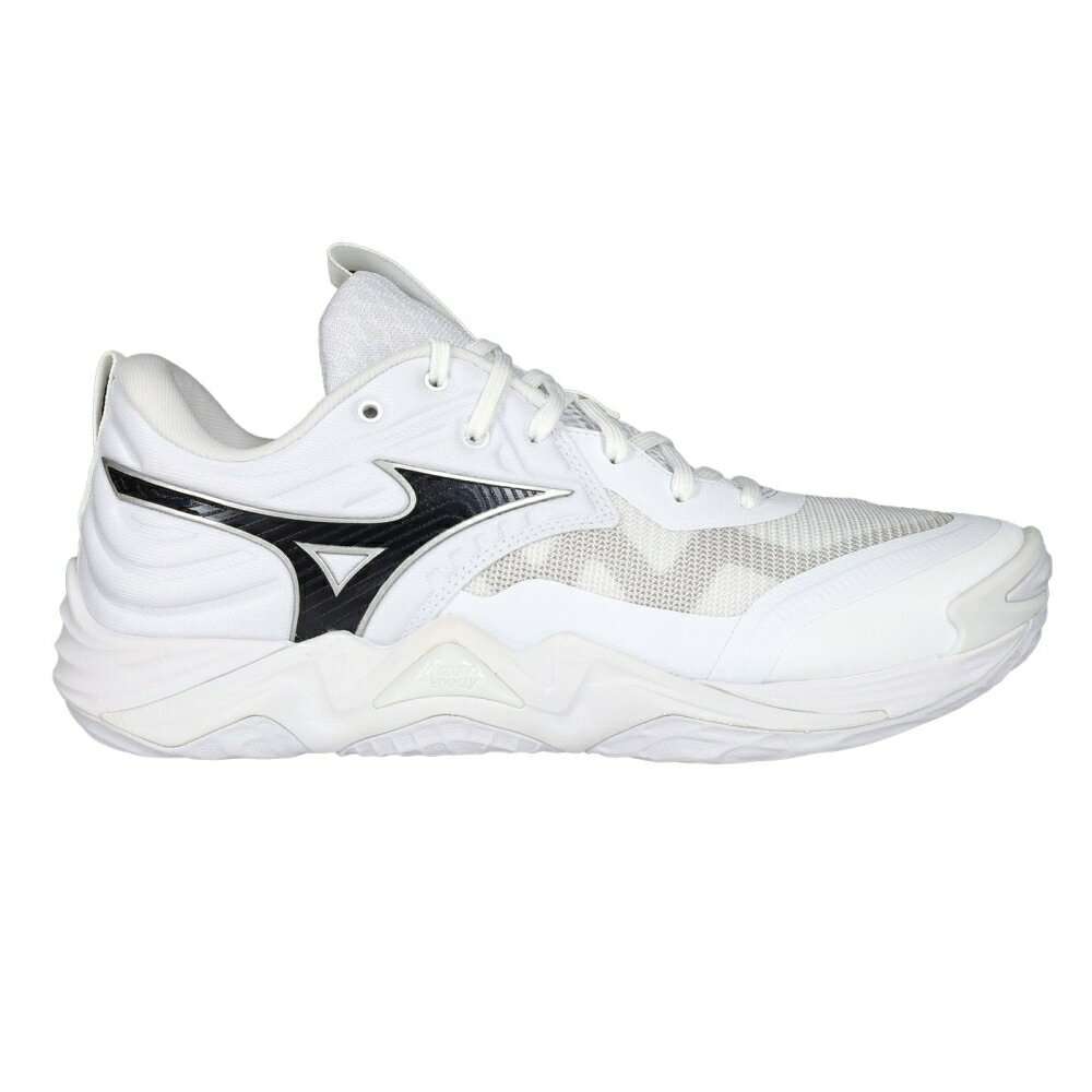 MIZUNO WAVE MOMENTUM ELITE 男排球鞋-3E(訓練 美津濃「V1GA251351」≡排汗專家≡