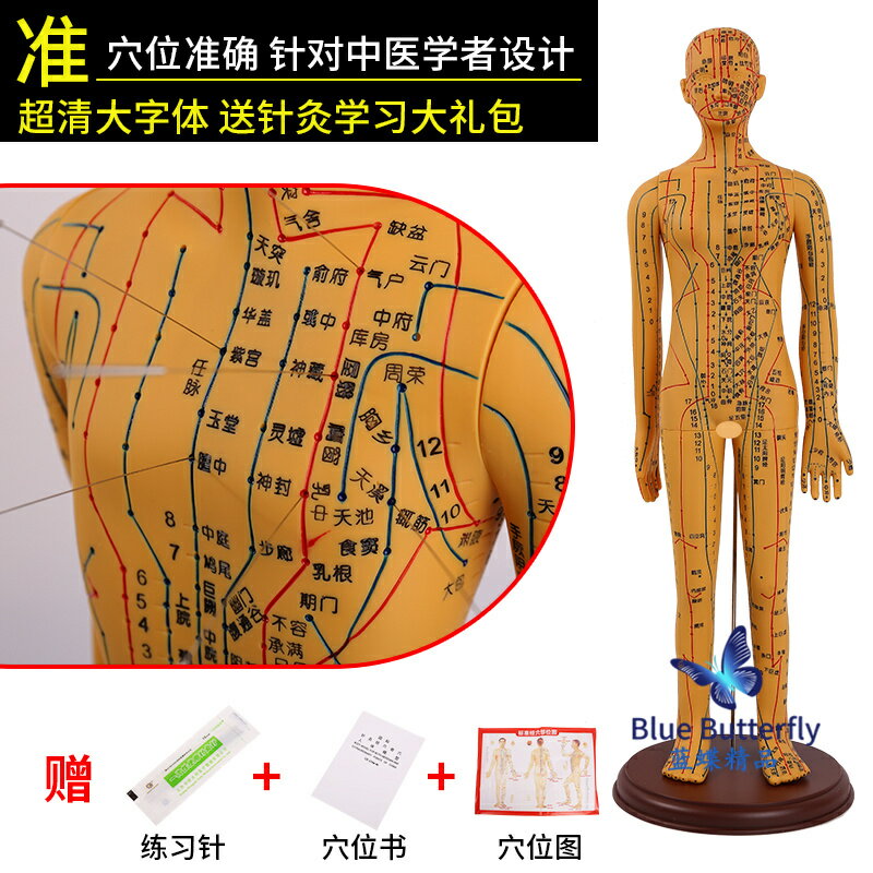 {可打統編 保固一年}針灸人體模型醫用扎針練習小皮人十二經絡穴位圖模特軟膠扎針練習 0