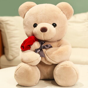 網紅可愛泰迪熊公仔抱抱熊玩偶小號玩偶毛絨玩具情人節禮物送女生