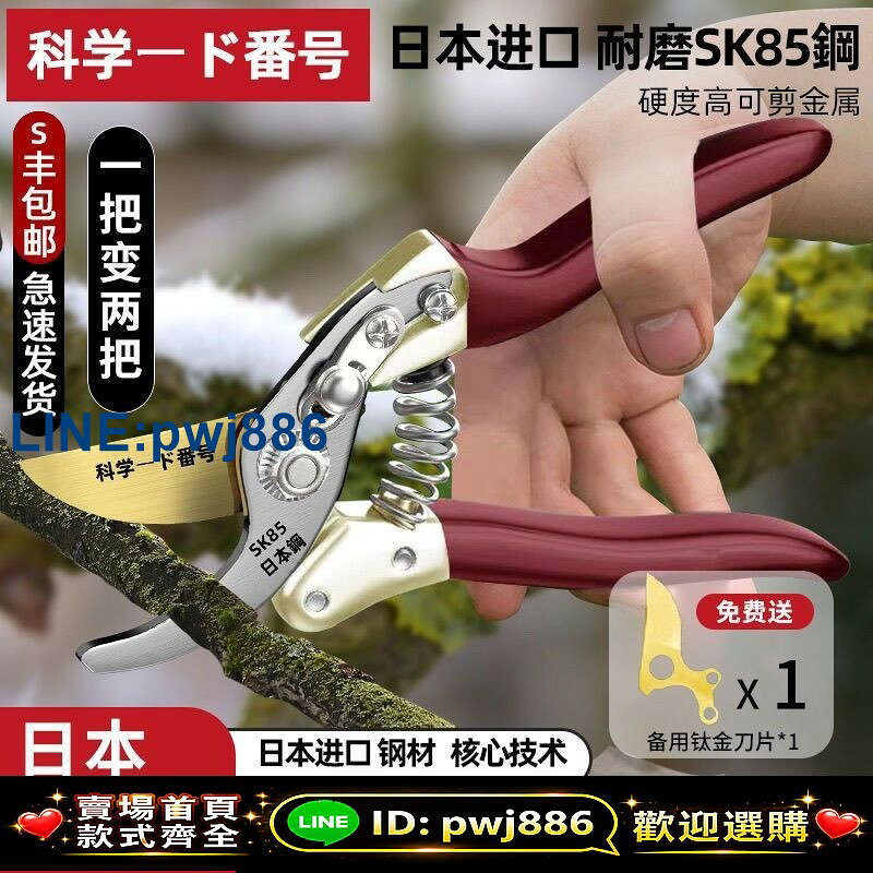 [歡迎詢價 可開發票]原裝日本進口sk5粗枝剪樹枝剪綠植強力園藝剪刀修剪樹枝果樹園林