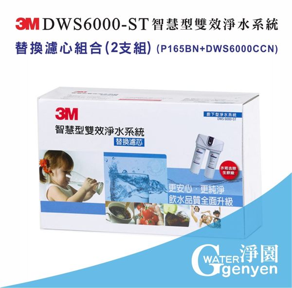 [淨園] 3M DWS6000-ST智慧型雙效軟水淨水系統替換濾心組合(2支組)(P165BN+DWS6000CCN)