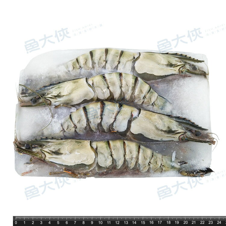 野生海草蝦(實重420g/4尾/盒)#420-1D3B【魚大俠】SP071