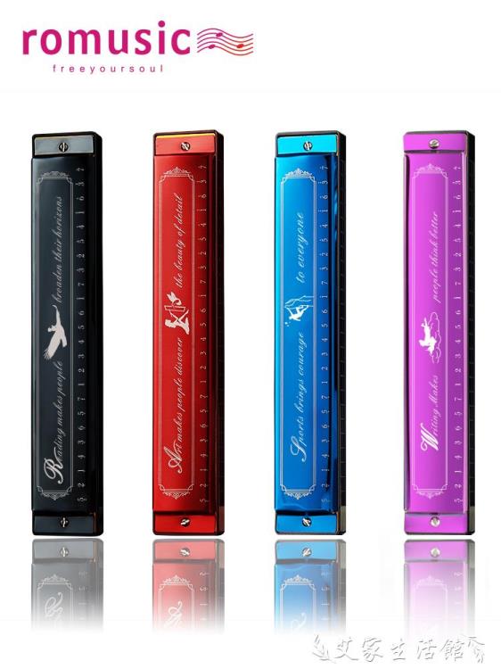 口琴 romusic口琴兒童初學者學生成人24孔復音c調專業入門樂器便攜小眾 限時88折