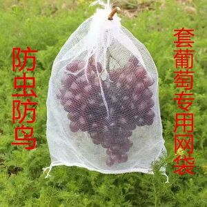 葡萄專用套袋防蟲防鳥網袋裝紅薯土豆編織紗網袋水果袋子塑料網兜