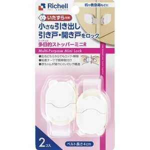 日本Richell 利其爾 小型多功能固定扣(2入)(4973655215203) 165元