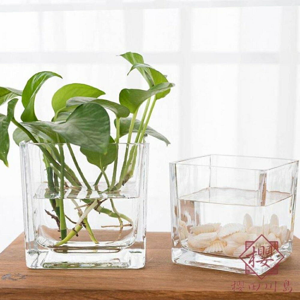 水培玻璃器皿透明玻璃花瓶水培花盆【櫻田川島】