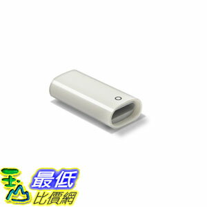 [106美國直購] 適配器 TechMatte Apple Pencil Lightning Cable Charging Adapter for iPad Pro Female 75 Inches 0