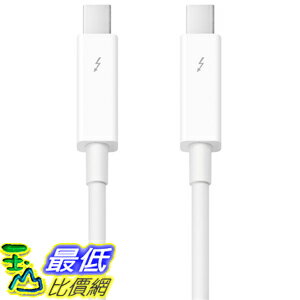 0.5 m Renewed Apple Thunderbolt cable 