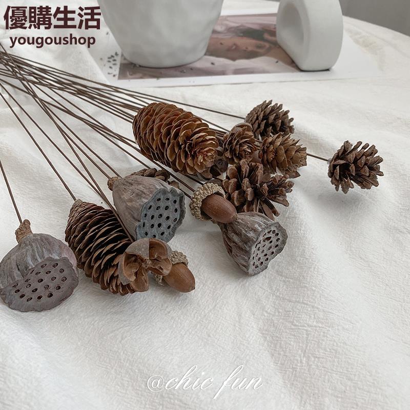 優購生活~chicfun天然ins風乾花真花果殼松果蓮蓬家居裝飾擺設橡果diy客廳咖啡廳 咖啡店 甜品店 擺件 裝飾 網美 自拍 藝術