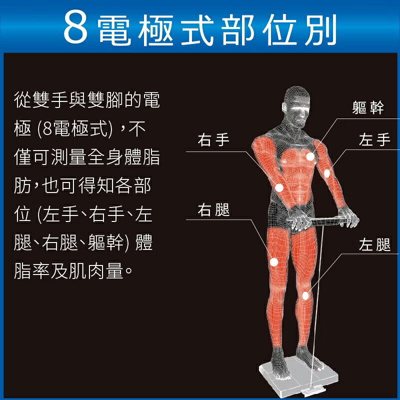 【醫護寶】免運(贈帆布袋)TANITA 日本製體脂計 BC-545N十合一八點式體組成計 5